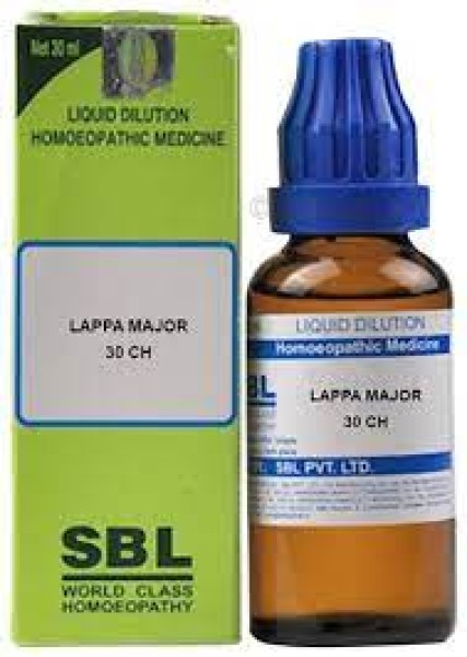 Lappa Major